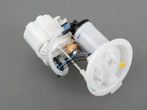 Low Pressure Fuel Filter/Pump Assembly