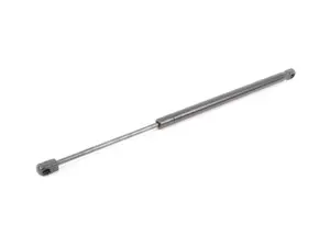 Trunk Strut