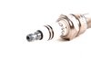 ES#28028 - 12129061869 - Spark Plug - Bosch WR-8-LC+ (7909) , NGK ZGR5A (5077) - Bosch - 