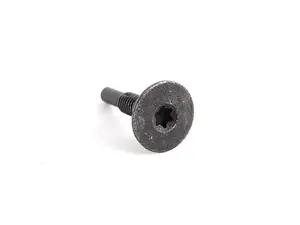 Torx Screw - priced each