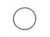 ES#1625861 - 1009970040 - Seal Ring - For Fuel Filter - Genuine Mercedes Benz - Mercedes Benz