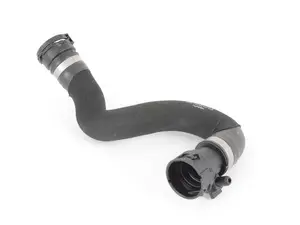 lower Radiator Hose 