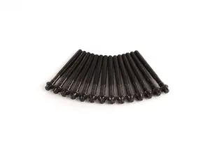 Cylinder Head Bolt Set