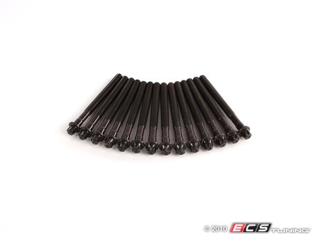 ES#18367 - 11121740065 - Cylinder Head Bolt Set - Includes all head bolts in one cylinder head - Genuine BMW - BMW