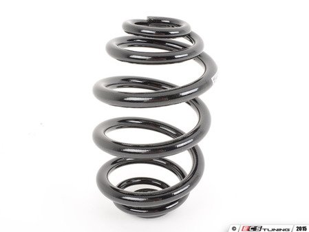 ES#2915099 - 33531095742 - E46 Rear Coil Spring - Replace your cracked springs - Mubea - BMW