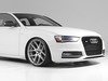 ES#2627562 - YT601215PH -  RS4 Mesh Style Grille - Black With Black Frame - Add a sleek new look to your front end with this black mesh grille. - ECS - Audi
