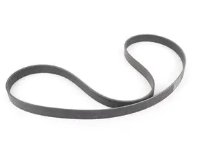 Accessory Belt