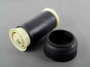 Rear Air Spring