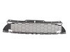 ES#173355 - 63130422706 - Front JCW Grille W/ Brackets - (NO LONGER AVAILABLE) - For the install or vehicles with rally lights - Genuine MINI - 