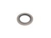 ES#2159155 - 11117526565 - GASKET RING - Genuine BMW - 