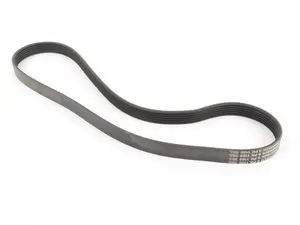 Accessory Belt 