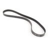 ES#2777357 - 06J260849F - Accessory Belt  - Recommended to be replaced at the first sign of cracking - Continental - Audi Volkswagen