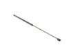 ES#2816366 - 8E0823359A -  Hood Strut (8E0823359A) - Keep your hood propped - Hamburg Tech - Audi