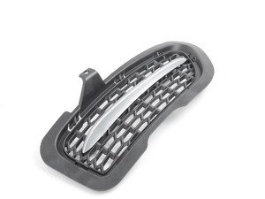 ES#2144851 - 51117262830 - GRID LATERAL RIGHT - Genuine BMW - BMW