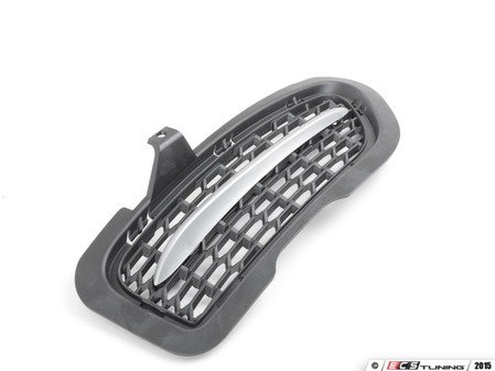 ES#2144851 - 51117262830 - GRID LATERAL RIGHT - Genuine BMW - BMW
