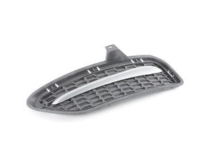 ES#2144850 - 51117262829 - GRID LATERAL LEFT - Genuine BMW - BMW