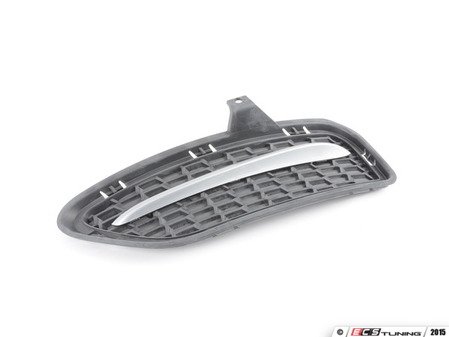 ES#2144850 - 51117262829 - GRID LATERAL LEFT - Genuine BMW - BMW