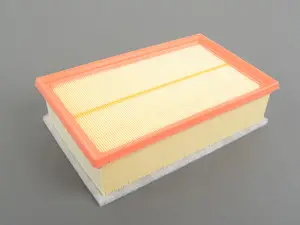 Air Filter - Cold Weather