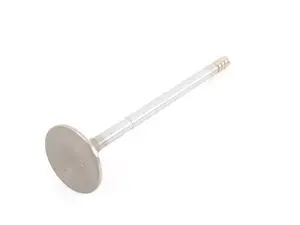 Intake Valve - Priced Each