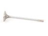 ES#22960 - 11347513019 - Intake Valve - Priced Each - Standard replacement intake valve - Genuine MINI - MINI