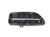 ES#2144850 - 51117262829 - GRID LATERAL LEFT - Genuine BMW - BMW