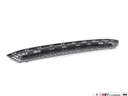 ES#2590131 - 51117303753 - GRID, CENTER - Genuine BMW - BMW