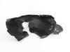 ES#2773809 - 5C6805912L - Front Fender Liner - Right - Protect your wheel well from damage with a new fender liner. - Genuine Volkswagen Audi - Volkswagen