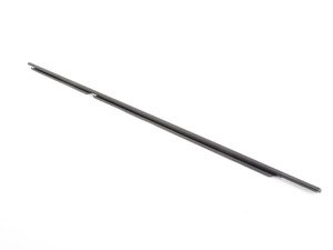 ES#2537407 - 51357258293 - Channel Seal - Outer Door, Rear Left - Genuine BMW - BMW