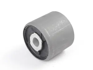 Rear Differential Carrier Bushing
