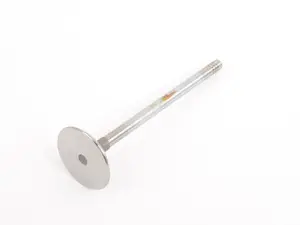 Intake Valve - Priced Each