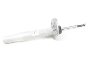 Front Strut - Right