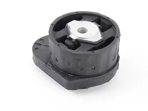 Transfer Case Mount