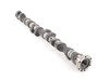 ES#22389 - 11317833225 - Camshaft Exhaust - Genuine BMW - BMW