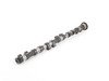 ES#22389 - 11317833225 - Camshaft Exhaust - Genuine BMW - BMW