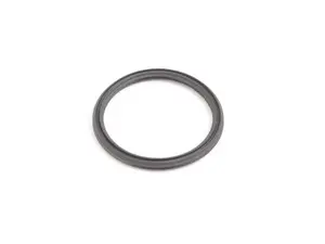 Seal For Cap 