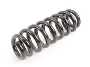 ES#2537248 - 33532283569 - REAR COIL SPRING - Replace your cracked springs - Genuine BMW - BMW