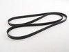 ES#2550315 - 077903137d - Accessory Belt - Keep your accessories running properly - Continental - Audi