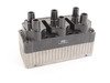 ES#2784850 - 101000035AH - Ignition Service Kit - Includes ignition coil, spark plugs, and black spark plug wires - Assembled By ECS - Volkswagen