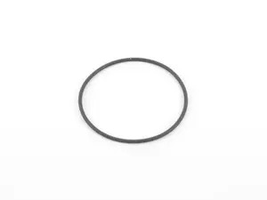 Camshaft Adjuster O-Ring