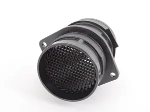 Mass Air Flow Sensor (MAF)