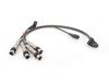 ES#2593738 - MK420IGNSRV -  Ignition Service Kit - Everything needed to bring your ignition system up to working order - Assembled By ECS - Volkswagen