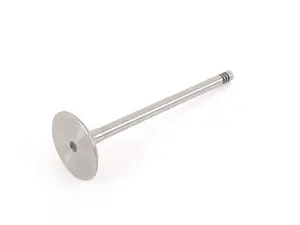 Intake Valve - Priced Each