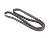 ES#1621406 - 0119970692 - Multi-Rib Accessory Belt - 21.36x2445mm - Genuine Mercedes Benz - Mercedes Benz