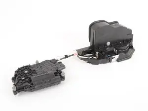 Door Locking Mechanism - Left Rear