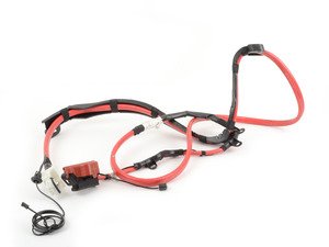 ES#2584500 - 61129297278 - Battery Cable - Positive - Under-Floor Cable - Genuine BMW - BMW