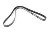 ES#2975775 - 11287520199 - Multi Rib Accessory Belt K060547 - Main drive belt that connects to the main pulley - Gates - MINI