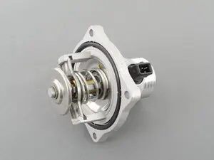 Thermostat Assembly