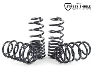 Neuspeed Sport Springs - ECS Street Shield 