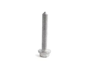 Hex Bolt - Priced Each