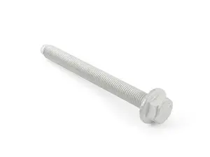 HEXAGON SCREW WITH F